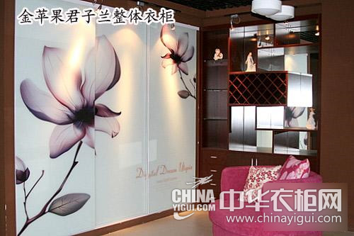金苹果君子兰整体衣柜 素雅又沉稳工薪阶级最